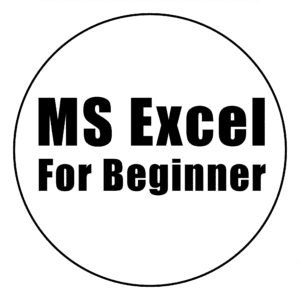 MS Excel for Beginner